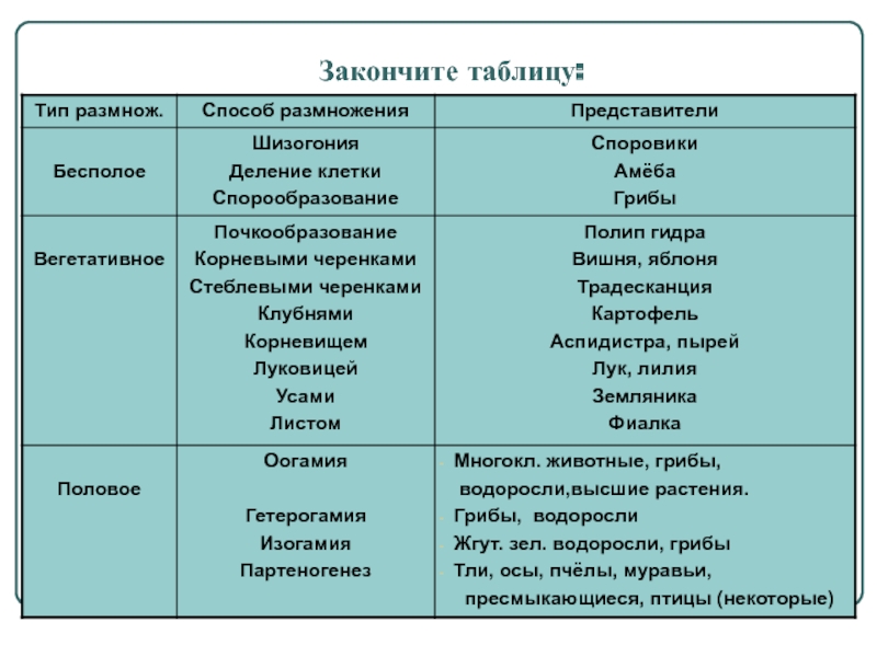 Кракен магазин kraken4am com